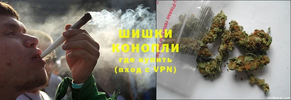 шишки Алексеевка