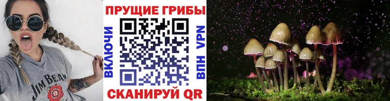 Псилоцибиновые грибы прущие грибы  МЕГА рабочий сайт  маркетплейс телеграм  Томари 